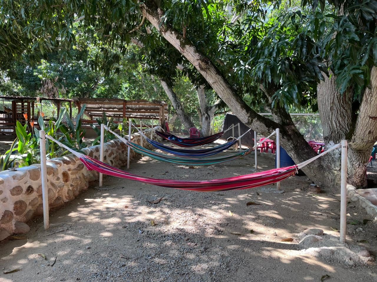 Zona de hamacas bajo los árboles