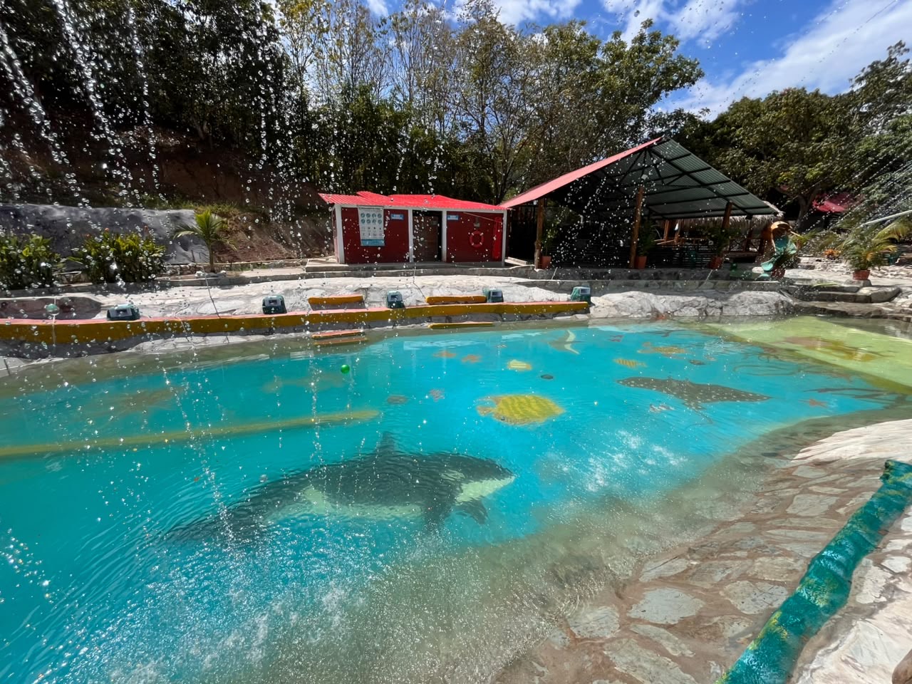 Piscinas con dibujos marinos
